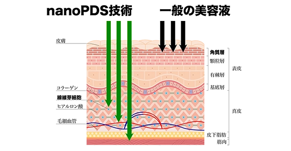 グルスゲル公式｜ヒト幹細胞×nanoPDS技術のフェムケア・オムケアジェル